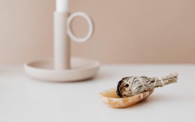 Palo Santo – Verbranntes Holz für Geist & Körper?